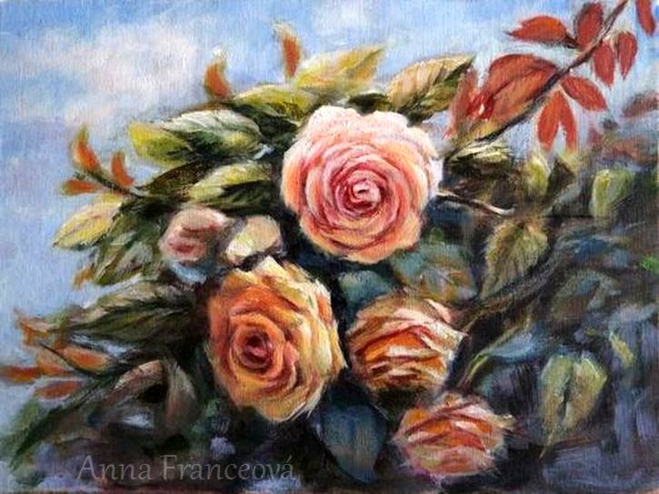 My roses